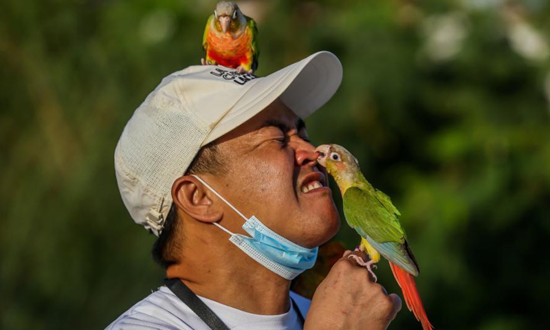 A parrot pecks the nose of a member of the Manila All-Star Free Flight, a group of avian enthusiasts, during a free flight activity in Manila, the Philippines on March 7, 2021. Manila All-Star Free Flight aims to teach pet parrots the freedom of flight for their pet's mental and physical health. (Xinhua/Rouelle Umali)