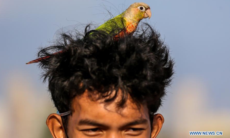 A parrot perches on the head of a member of the Manila All-Star Free Flight, a group of avian enthusiasts, during a free flight activity in Manila, the Philippines on March 7, 2021. Manila All-Star Free Flight aims to teach pet parrots the freedom of flight for their pet's mental and physical health. (Xinhua/Rouelle Umali)