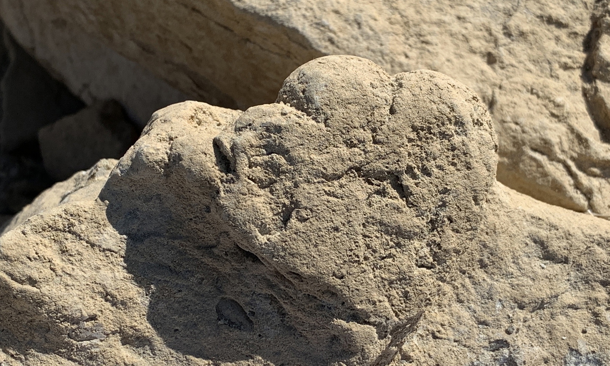 Footprint of the smallest stegosaur in Orku District, NW China's Xinjiang Uygur Autonomous Region. Photo at the courtesy of China University of Geosciences.