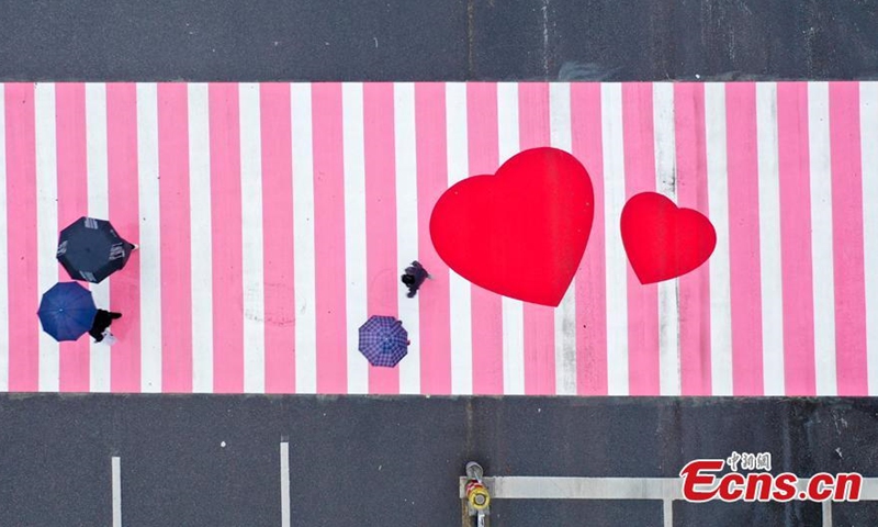 The zebra crossings at the intersection of Huangxing Road and Jiefangxi Road in Changsha City, Central China's Hunan Province, are painted pink to celebrate the International Women's Day, March 8, 2021. (Photo: China News Service/Yang Huafeng)
