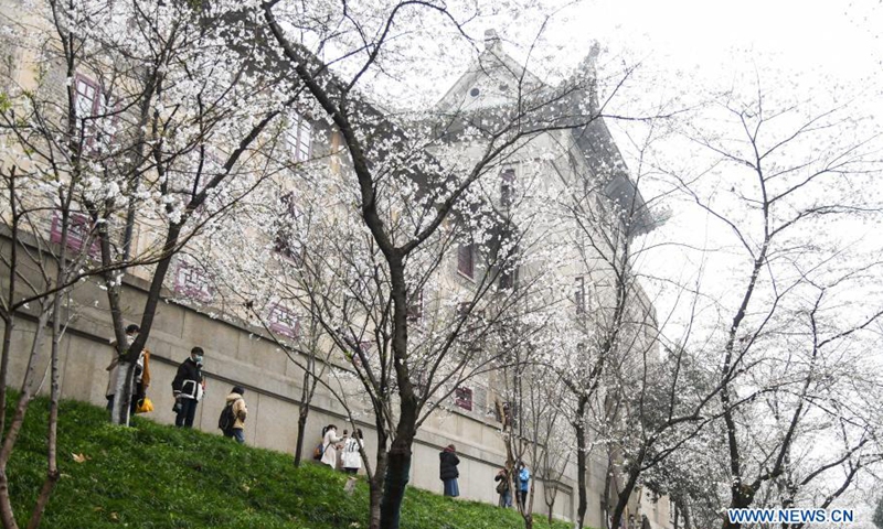 Tourists view cherry blossoms at Wuhan University in Wuhan, capital of central China's Hubei Province, March 8, 2021. Wuhan University on Monday has started reservation for visitors to view cherry blossoms on campus. This year, Wuhan University has made arrangements for the public to make real-name bookings three days in advance, with a daily reservation limit of 10,000 people on weekdays and 15,000 people on weekends.(Photo: Xinhua)