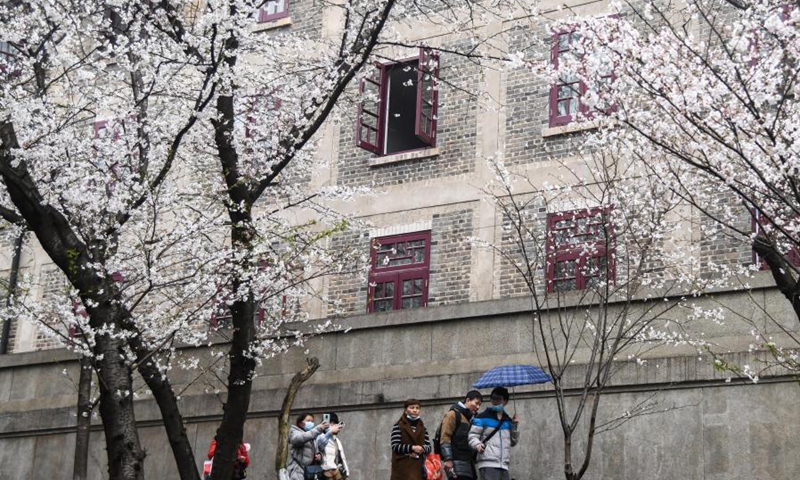Tourists view cherry blossoms at Wuhan University in Wuhan, capital of central China's Hubei Province, March 8, 2021. Wuhan University on Monday has started reservation for visitors to view cherry blossoms on campus. This year, Wuhan University has made arrangements for the public to make real-name bookings three days in advance, with a daily reservation limit of 10,000 people on weekdays and 15,000 people on weekends.(Photo: Xinhua)