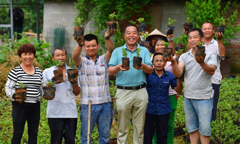 Villagers of a camellia planting cooperative pose for a group photo at Gumu Village in Luzhai County of Liuzhou City, south China's Guangxi Zhuang Autonomous Region, May 10, 2020.(Photo: Xinhua)