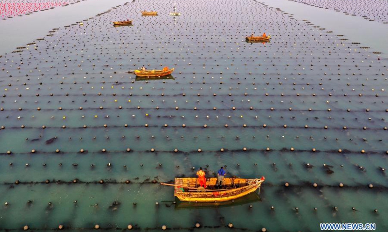 Aerial photo shows fishermen working at the mariculture zone as local aquatic products enter the growing season in Lidao Township, Rongcheng City, east China's Shandong Province, March 9, 2021.Photo:Xinhua