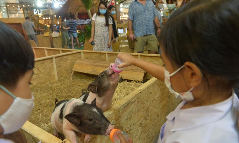 Children feed pigs at a shopping mall in Bangkok, Thailand, March 9, 2021. An Australian Animal Festival was held at central plaza in Bangkok on Monday and will last till March 14.(Photo: Xinhua)