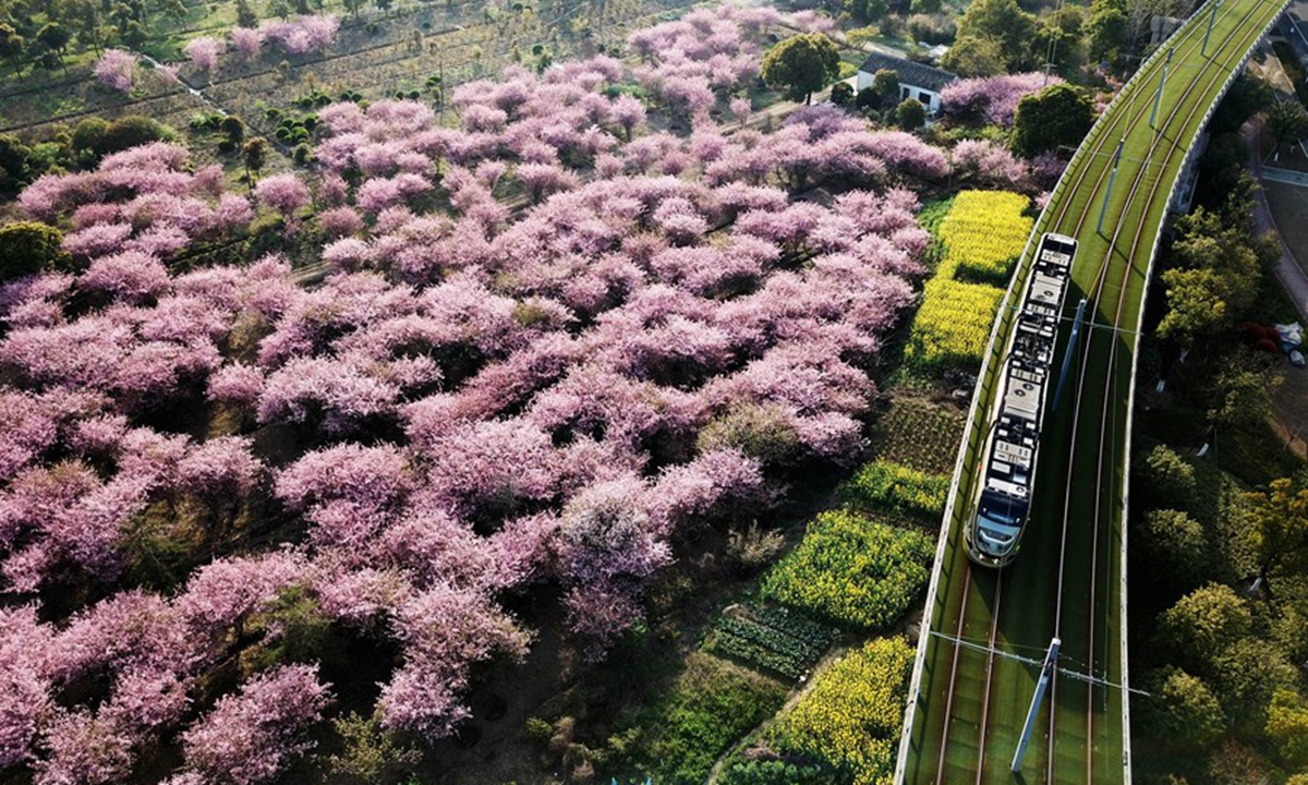 A tramcar runs past begonia flowers in Suzhou, east China's Jiangsu Province, March 28, 2018. (Xinhua/Xu Zhiqiang)