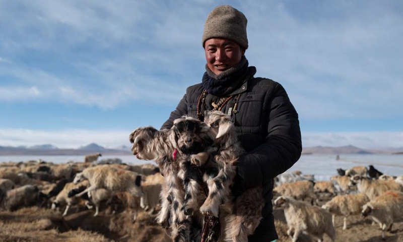 A herdsman holding lambs stands by the frozen Puma Yumco Lake, southwest China's Tibet Autonomous Region, March 6, 2021.Photo:Xinhua