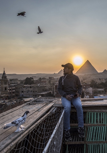 Omar Abdelhamed, a 28-year-old pigeon keeper, looks at his pigeons as he sits atop a coop on a rooftop in the Egyptian capital's twin city of Giza on February 21. Photo: AFP