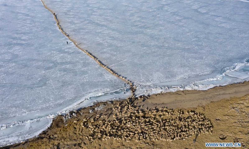 Aerial photo taken on March 6, 2021 shows a herd of sheep walking along a safe path on the frozen Puma Yumco Lake during their annual migration in southwest China's Tibet Autonomous Region.Photo:Xinhua