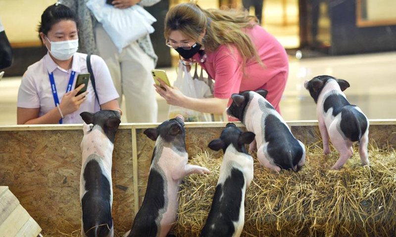 Customers take photos of pigs at a shopping mall in Bangkok, Thailand, March 9, 2021. An Australian Animal Festival was held at central plaza in Bangkok on Monday and will last till March 14.(Photo: Xinhua)