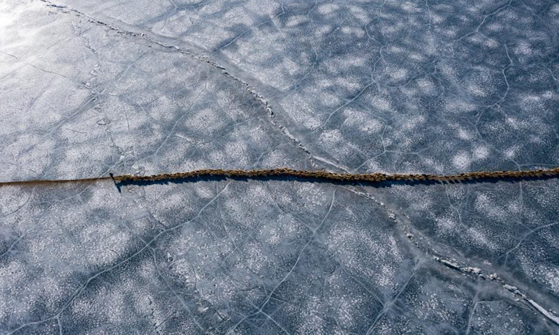 Aerial photo taken on March 6, 2021 shows a herd of sheep walking along a safe path on the frozen Puma Yumco Lake during their annual migration in southwest China's Tibet Autonomous Region.Photo:Xinhua
