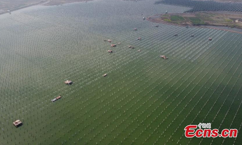 Aerial photo taken on March 9, 2021, shows the photovoltaic power generation project of fish and light complementary under construction in Anhui.Photo:China News Service