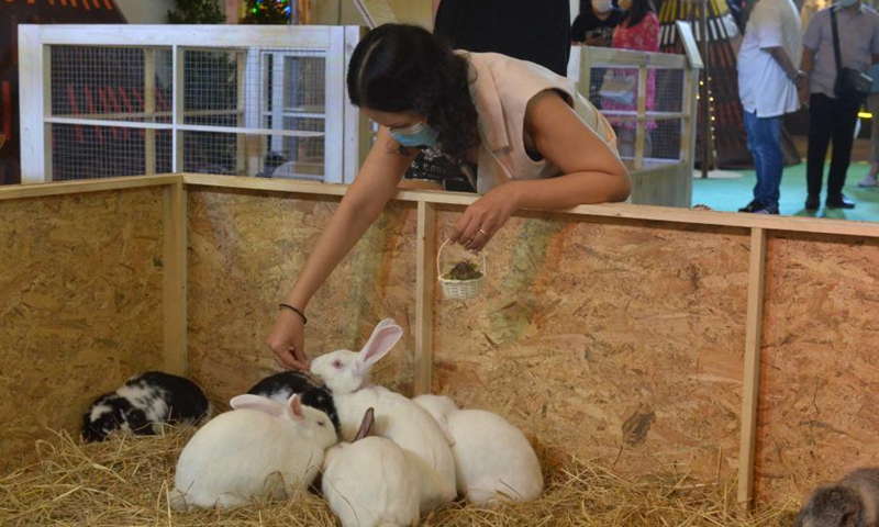 A customer feeds rabbits at a shopping mall in Bangkok, Thailand, March 9, 2021. An Australian Animal Festival was held at central plaza in Bangkok on Monday and will last till March 14.(Photo: Xinhua)