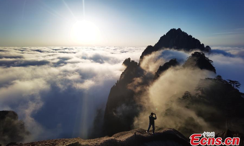 3月10日，安徽省黄山风景区发生降雨后，美丽的云海出现了。早晨的阳光使云海变暖，散发出耀眼的光芒。图片：中国新闻社