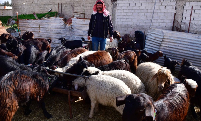 A shepherd takes care of goats on a farm in Damascus, Syria, on Feb. 28, 2021.(Photo: Xinhua)