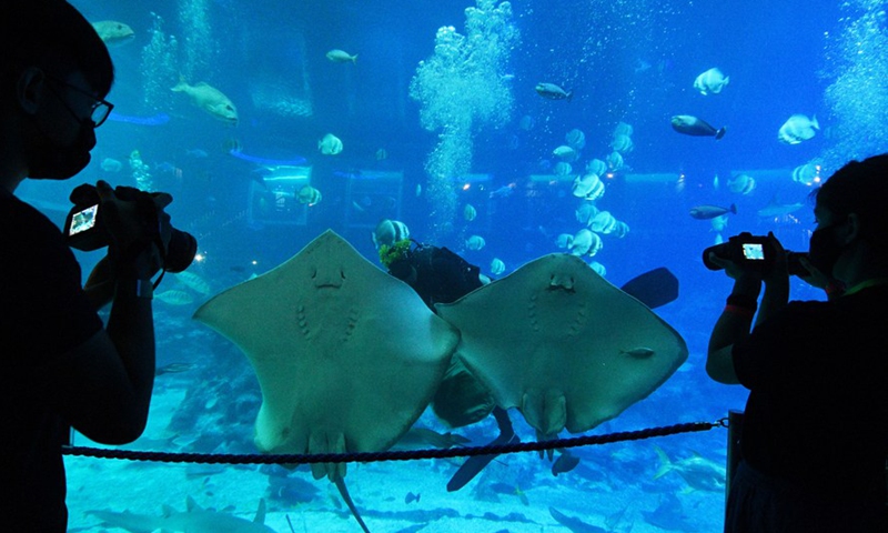 An aquarist dressed as a tiki warrior feeds the marine animals at the S.E.A. Aquarium in Singapore on March 11, 2021.(Photo:Xinhua) 