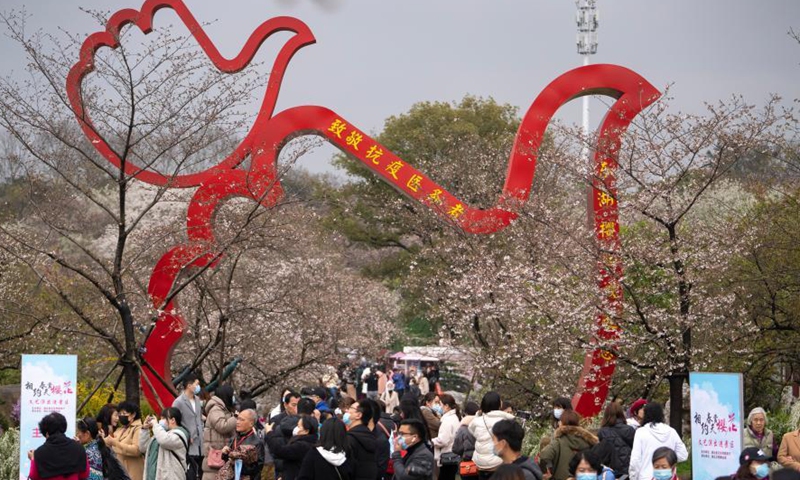 Tourists view blooming cherry blossoms at the Moshan scenic spot by the East Lake in Wuhan, central China's Hubei Province, March 11, 2021.  Photo:Xinhua