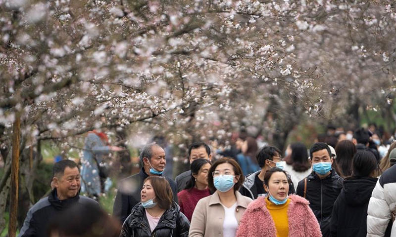 Tourists view blooming cherry blossoms at the Moshan scenic spot by the East Lake in Wuhan, central China's Hubei Province, March 11, 2021.  Photo:Xinhua