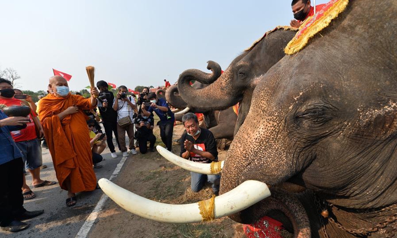 A monk prays at the National Elephant Day celebration in Ayutthaya, Thailand, March 13, 2021. Various activities are held during the celebration to raise public awareness of the conservation of elephants and their habitats.(Photo: Xinhua)