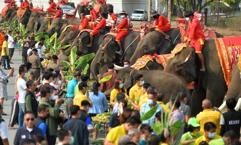 People feed elephants at the National Elephant Day celebration in Ayutthaya, Thailand, March 13, 2021. Various activities are held during the celebration to raise public awareness of the conservation of elephants and their habitats.(Photo: Xinhua)