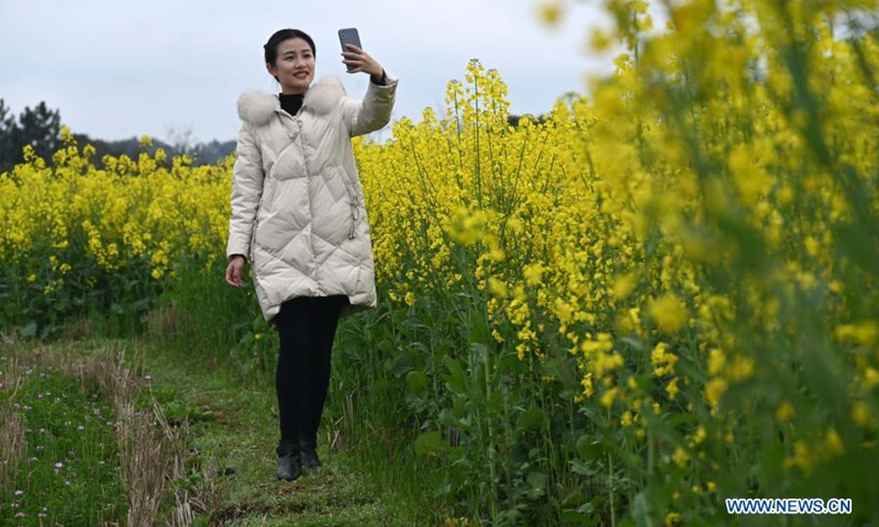 A tourist takes photos in a cole flower field in Lijia Village in Anyi County, east China's Jiangxi Province, March 11, 2021. Anyi County has put efforts into developing tourism industry by integrating natural and cultural resources.Photo:Xinhua