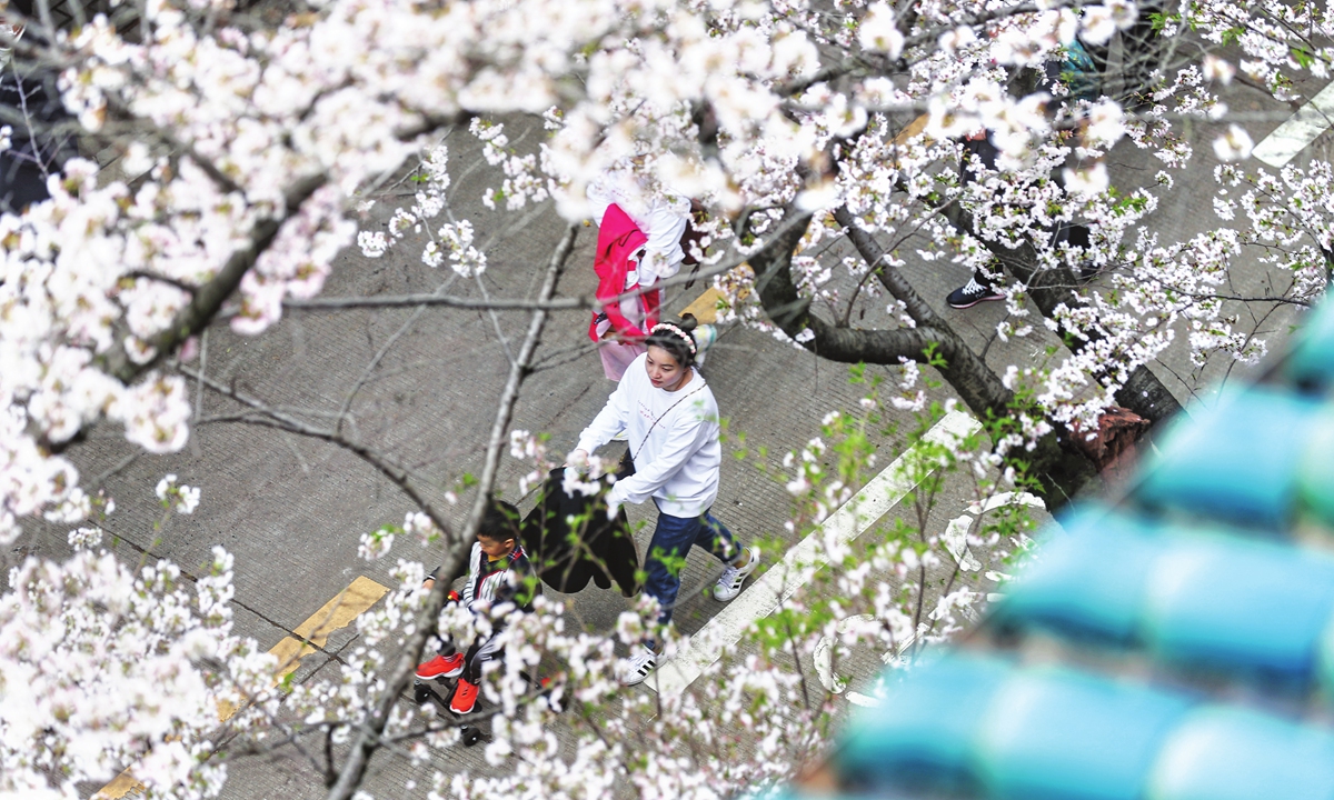 A young medical worker takes&nbsp;her child to enjoy the&nbsp;beautiful&nbsp;scenery under the blooming cherry trees at Wuhan University&nbsp;on Saturday. Photo: Cui Meng/GT