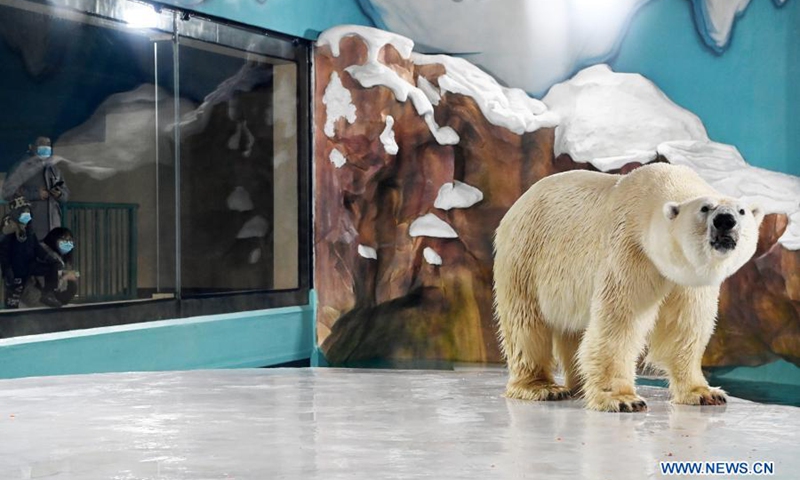 Visitors look at a polar bear at Harbin Polarpark in Harbin, capital of northeast China's Heilongjiang Province, March 12, 2021. Harbin Polarpark opened to the public on Friday.(Photo: Xinhua)