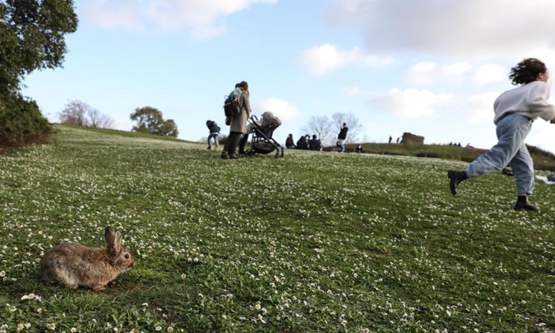 People enjoy their weekend in Parco della Caffarella in Rome, Italy, on March 13, 2021. Italy approved a fresh round of tight anti-COVID-19 restrictions nationwide on Friday, as the virus variants circulating in the country were boosting infections.Photo:Xinhua