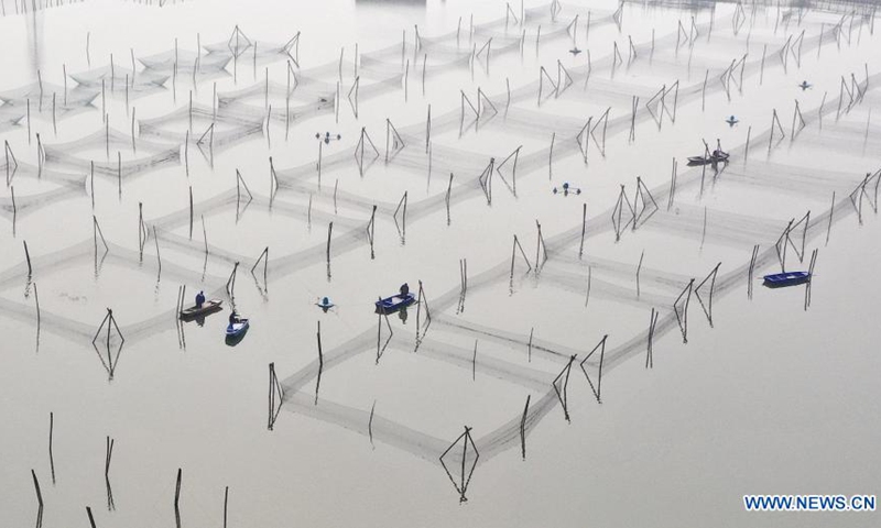 Aerial photo taken on March 14, 2021 shows farmers feeding basses in Deqing County of Huzhou City, east China's Zhejiang Province.(Photo: Xinhua)