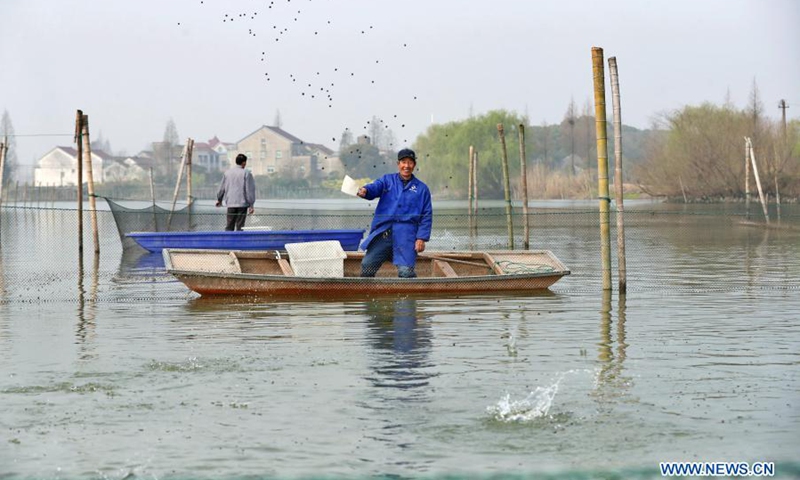 A farmer feeds basses in Deqing County of Huzhou City, east China's Zhejiang Province, March 14, 2021.(Photo: Xinhua)