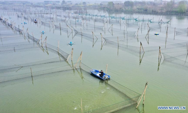 Aerial photo taken on March 14, 2021 shows farmers feeding basses in Deqing County of Huzhou City, east China's Zhejiang Province.(Photo: Xinhua)