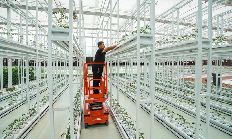 An employee works at a modern agricultural industrial park in Lianyungang City, east China's Jiangsu Province, July 13, 2019. (Photo: Xinhua)