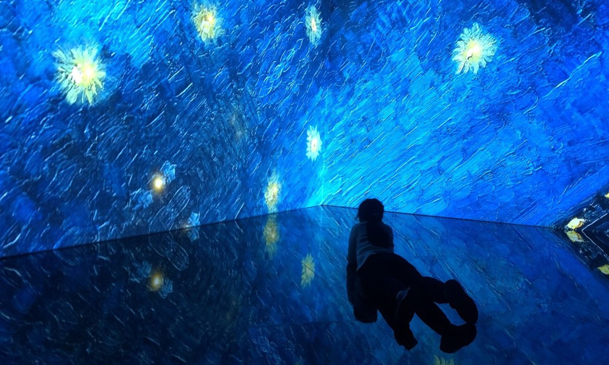 A light exhibition using immersive experience and 3D modeling is put on at a wetland park in Chengdu, Southwest China's Sichuan Province, showcasing the city's vitality and beauty in spring. Photo: IC