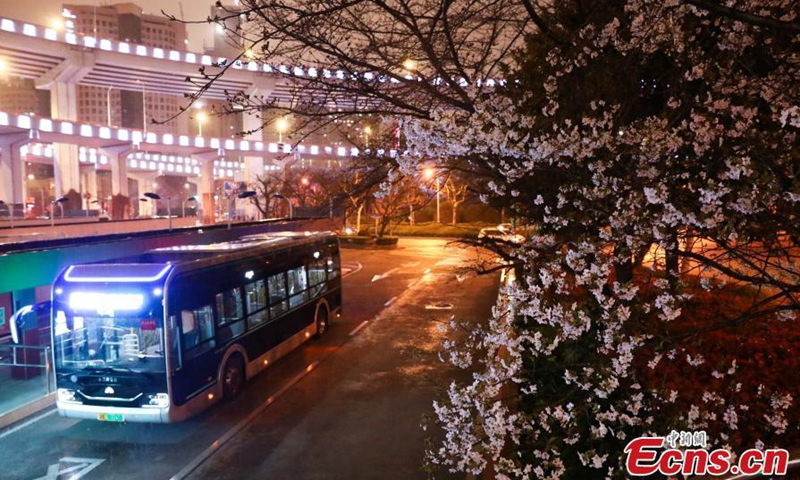 2021年3月15日拍摄的照片显示了上海最美丽的车站之一南浦大桥站的樱花。