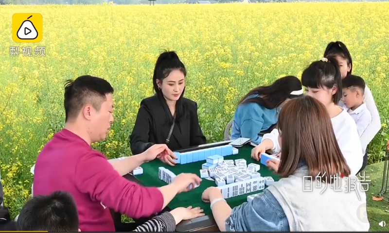Under the shed, two mahjong tables were laid out, with groups of four people playing mahjong while laughing and chatting in the rape flower field in Southwest China's Sichuan Province. photo: screenshot of Pear Video on Sina Weibo.