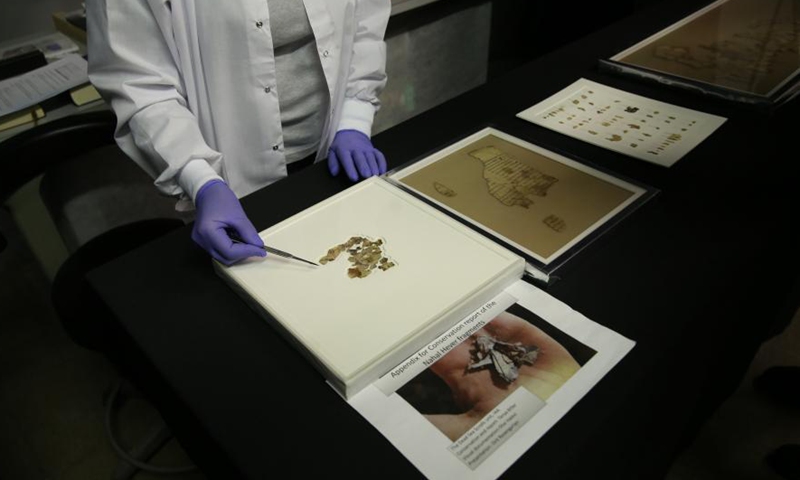 A staff member shows fragments of the new discovered Dead Sea Scroll in a lab in the Israel Museum in Jerusalem on March 16, 2021. Israeli archaeologists have discovered dozens of fragments of a biblical scroll written in Greek in the Cave of Horror near the Dead Sea.Photo:Xinhua