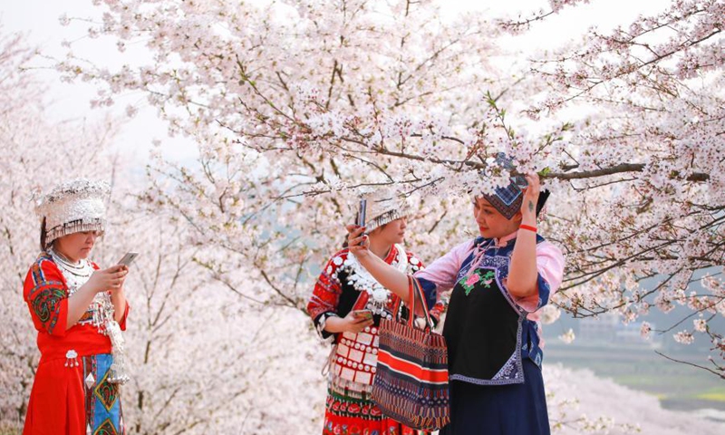 People visit the cherry garden in Huangla Township, Anshun City of southwest China's Guizhou Province, March 16, 2021. Huangla Township has taken advantage of cherry blossom tourism industry to develop the local economy and provide jobs for nearby areas.(Photo: Xinhua)