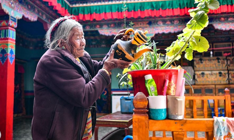 Drungtok waters plants at home in Xigaze, southwest China's Tibet Autonomous Region, Jan. 15, 2021.(Photo:Xinhua)