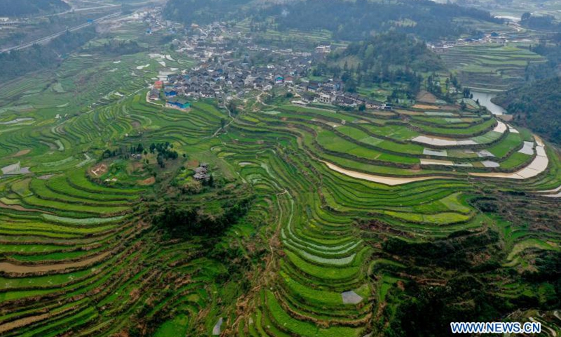 Aerial photo taken on March 19, 2021 shows a view of the Gaoyao terraced fields in Longquan Township of Danzhai County, southwest China's Guizhou Province. Photo: Xinhua