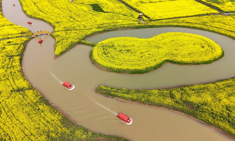 Aerial photo shows tourists viewing blooming cole flowers on boats in Gaoyou City, east China's Jiangsu Province, March 21, 2021.(Photo: Xinhua)