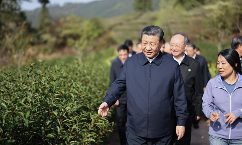 Xi Jinping, general secretary of the Communist Party of China Central Committee, learns about local efforts to develop the tea industry while visiting an eco-friendly tea garden in Nanping City, Fujian Province, March 22, 2021. Xi Jinping on Monday arrived in Fujian Province for inspection. Photo: Xinhua