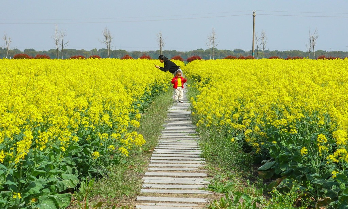 A mother and a boy enjoy the spring air in a large field of canola blossoms on a farm in the suburbs of Hangzhou, East China's Zhejiang Province, on Monday. Photo: IC