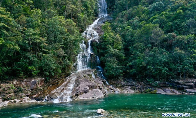 Aerial photo taken on April 1, 2020 shows a waterfall in Wuyishan National Park, southeast China's Fujian Province. Wuyi Mountain has a comprehensive forest ecosystem representative of the mid-subtropical zone. It boasts diverse groups of plants due to its varying altitudes. Wuyishan National Park was established in 2016.(Photo: Xinhua)