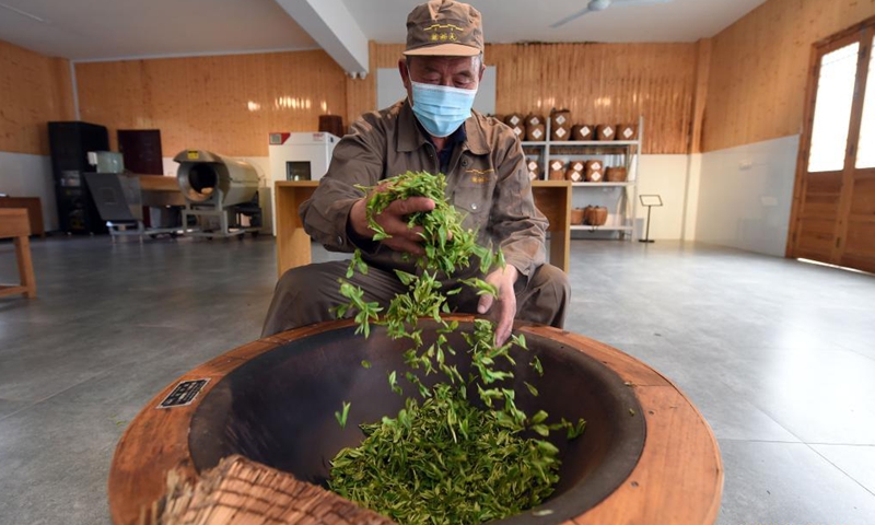 A worker processes tea leaves during the tea harvest season at a tea garden in Huangshan City, east China's Anhui Province, on March 24, 2021. (Xinhua)