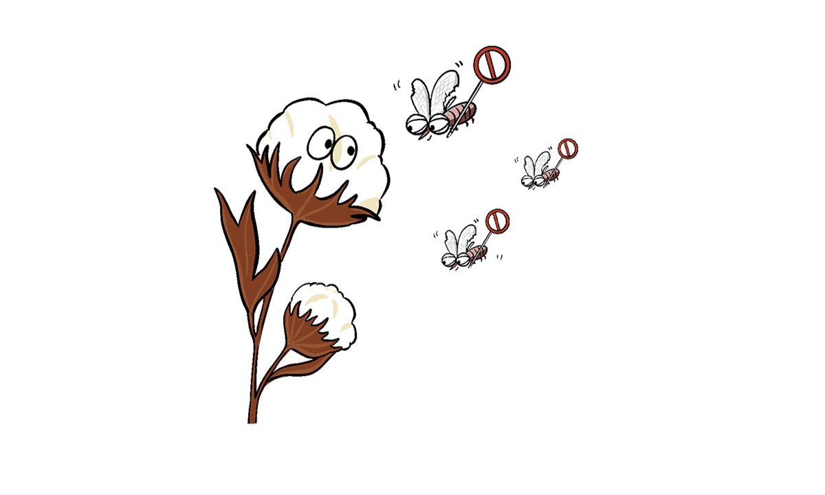 Illustration: Liu Xidan/GT