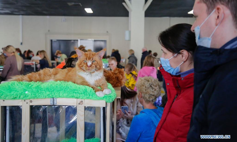 People wearing face masks look at a cat during a cat show organized by a cat-fancier club at Sokolniki Park in Moscow, Russia, March 28, 2021. More than 400 cats and kittens of over 30 breeds are presented during the fair.(Photo: Xinhua)