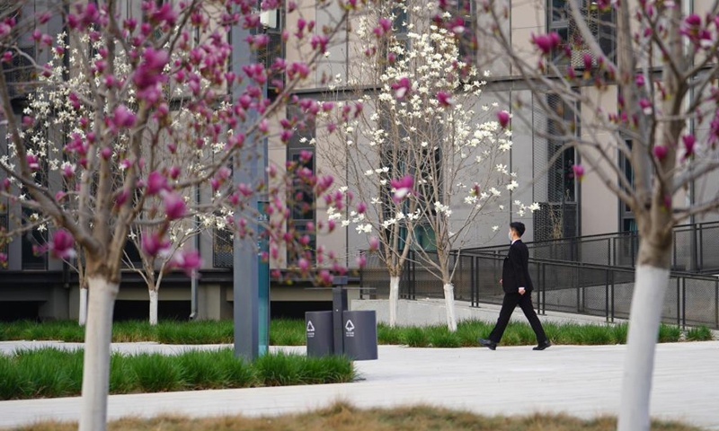 Photo taken on March 30, 2021 shows Xiongan citizen service center in Xiongan New Area, north China's Hebei Province. Photo: Xinhua