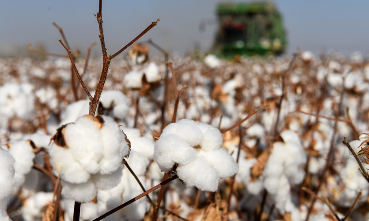 Modern agriculture gaining ground in Xinjiang's cotton fields