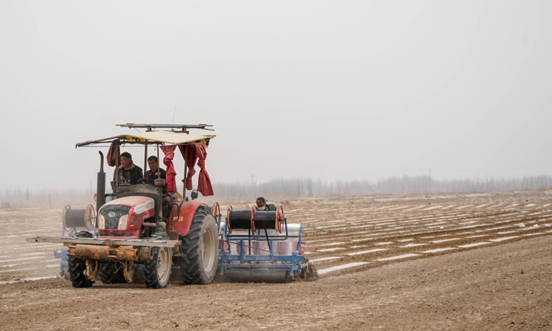 Farmers sow cotton seeds in Shache County, northwest China's Xinjiang Uygur Autonomous Region, March 26, 2021.  Photo: Xinhua