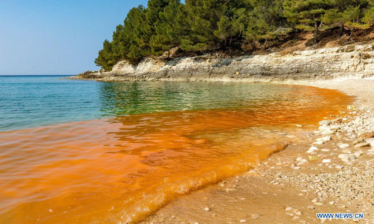 Photo taken on March 29, 2021 shows red tide at a beach in Pula, Croatia. Red tide is a burst of harmful algae growth which can turn ocean water red, brown or green. (Srecko Niketic/Pixsell via Xinhua)